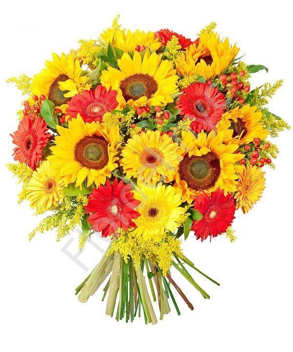 Gerberas Girasoles por la tienda de flores Flordel en Nueva York