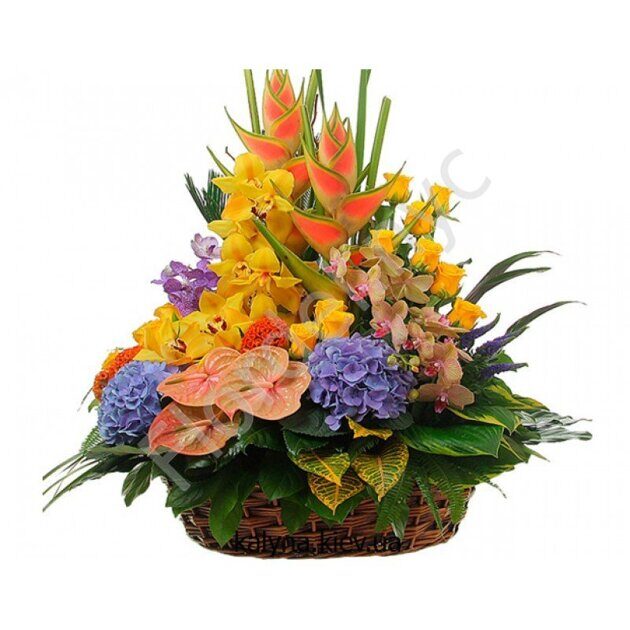 Canasta tropical grande